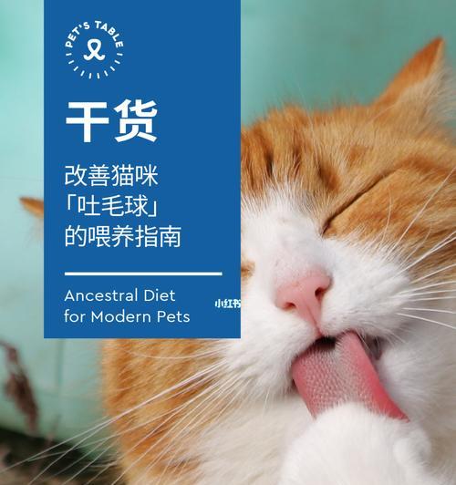 探究猫咪毛球症的形成及防治方法（以宠物为主，了解猫咪毛球症的危害和预防知识）