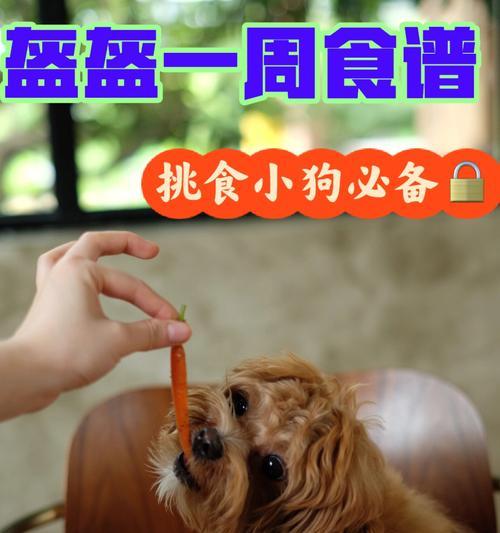 如何纠正狗狗挑食的习惯？（以宠物为主，让狗狗养成良好的饮食习惯！）