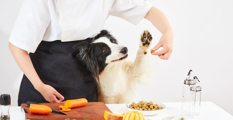 如何提高宠物狗的免疫能力（以科学饮食和良好习惯增强狗狗的抵抗力）