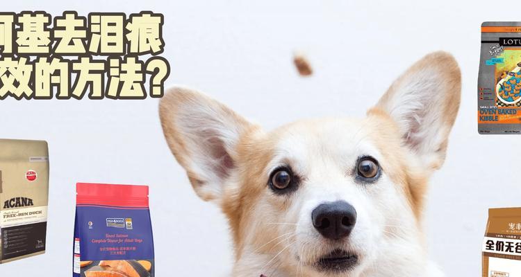 如何有效去除宠物犬泪痕（有效、简便的方法帮助你改善犬泪痕问题）