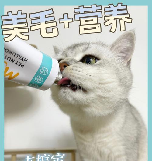 如何为您的宠物猫提供完美毛发护理（掌握这些简单技巧，让您的猫咪变得更加漂亮、健康）