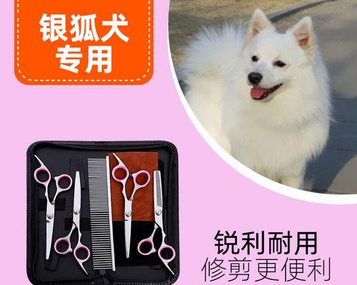 夏季适不适合给银狐犬剪毛？（探究银狐犬剪毛的优缺点和注意事项）