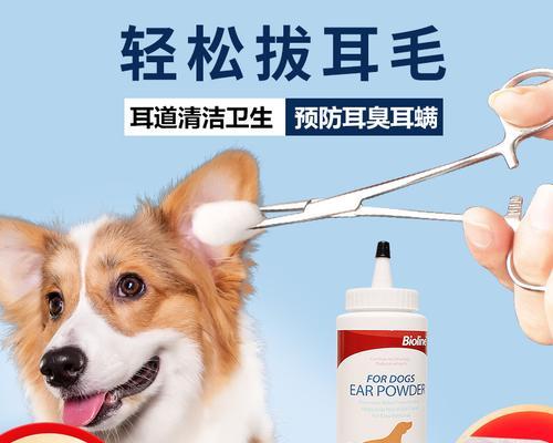 如何帮助宠物清洁耳朵卫生？（学会正确清洁，让你的狗狗远离疾病）