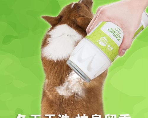 如何用干洗粉给幼犬洗澡（幼犬洗澡需要注意的事项与步骤）