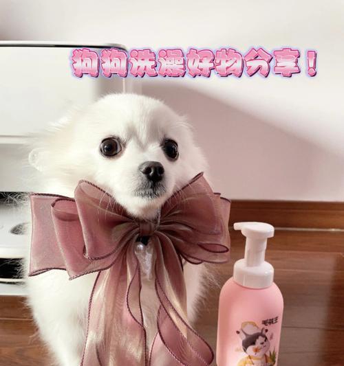 让宠物狗狗更干净健康的洗澡清洁方法（给你的狗狗一个舒适的沐浴体验，让它保持健康和美丽）