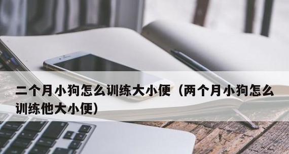 如何训练小狗“坐等食物”？（宠物培训大师教你轻松实现，小狗变乖变听话！）