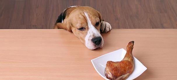如何通过饮食习惯来保护狗狗的眼睛（15个饮食习惯，让你的宠物远离眼疾）