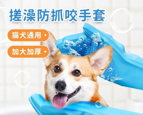 狗狗洗澡全流程详解（为宠物狗提供舒适的洗浴体验）