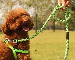 为什么让宠物狗狗戴牵引绳是必要的？（让你的狗狗戴牵引绳的5大好处！）