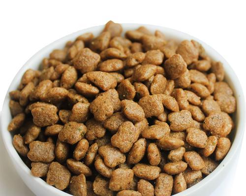 狗狗零食可以代替狗粮？（了解宠物的饮食需求和选择健康的零食）