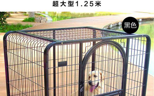 爱宠犬关笼子叫怎么办？（以爱心喂养宠物犬）