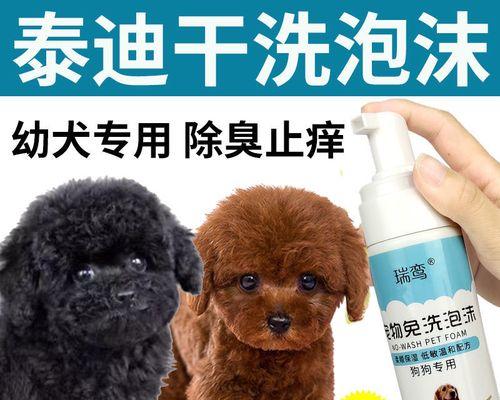 贵宾犬洗澡用品大揭秘！（掌握这些，让你的贵宾犬洗澡更加舒适健康！）