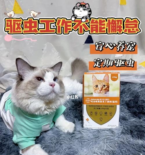 家养猫咪驱虫计划（宠物养护知识，每年至少驱虫一次；驱虫能够防止寄生虫繁殖）