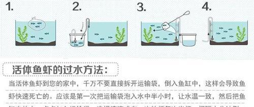 海岸箱龟的饲养方法（让你的海岸箱龟健康成长）