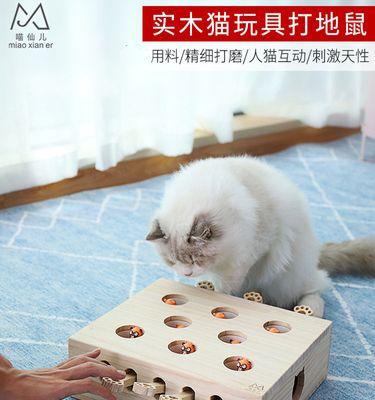 猫咪的玩具小老鼠（揭秘猫咪对玩具小老鼠的执念）