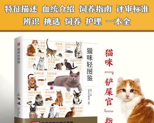 如何成为一名优秀的猫奴（宠物养护知识分享，让你和猫咪更亲密）