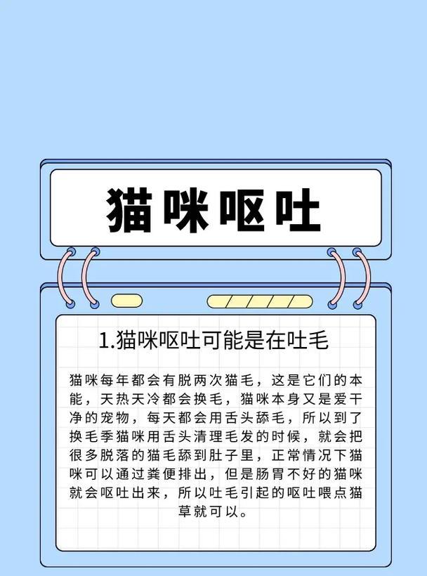 泰迪吐黄水有沫的原因（探究泰迪吐黄水有沫的成因与治疗方法）