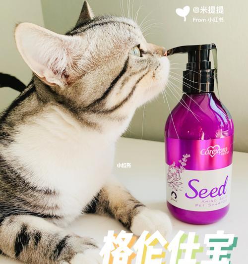 如何选择适合猫咪的洗发水（为您宠物的健康和舒适着想/猫咪毛发护理的秘诀）