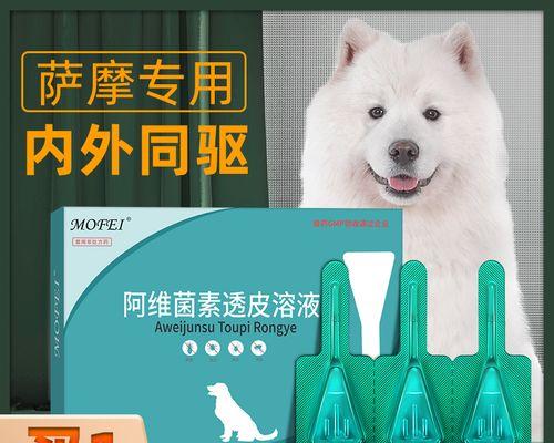 解析萨摩耶犬消化疾病用药（以宠物为主，有效缓解消化不良）