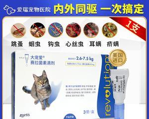 如何正确使用猫咪体外驱虫药？（掌握正确用药方法，守护宠物健康）