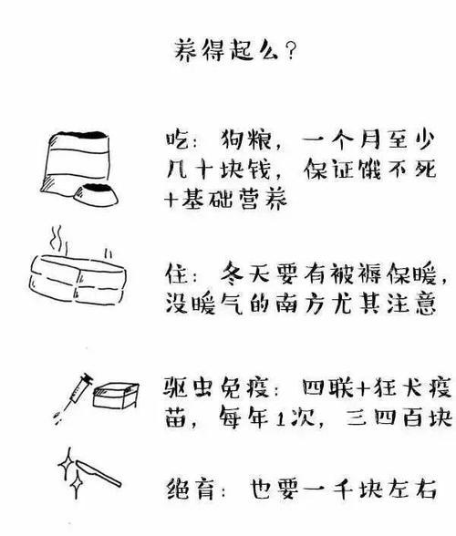 如何消除宠物泰迪的口臭问题（实用方法让您的泰迪口气清新自然）