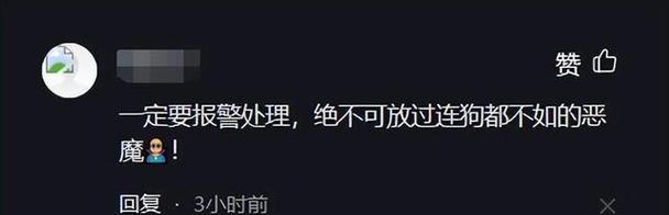 如何为宠物狼青犬测量体温？（学会正确测量狗狗的体温，保障它们的健康！）