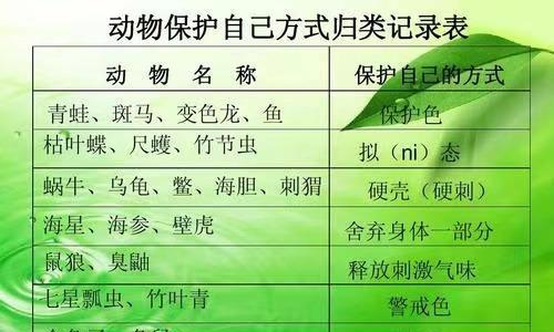 梗饲养全攻略（让你的宠物健康快乐成长）