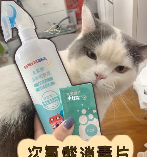 猫咪消毒液中毒后的护理（如何安全有效地照顾你的宠物）