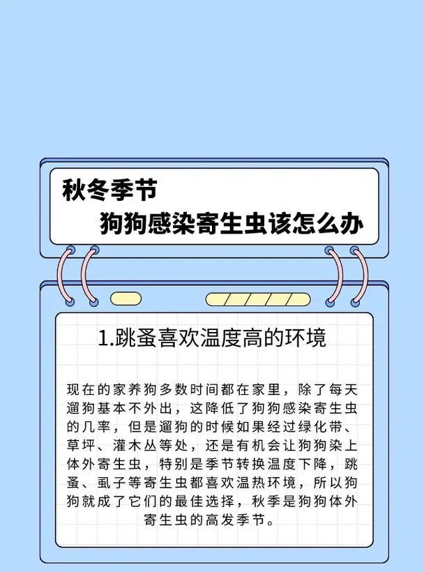 狗狗服用体内驱虫药应该注意什么？（以宠物为主，让你的狗狗健康快乐）