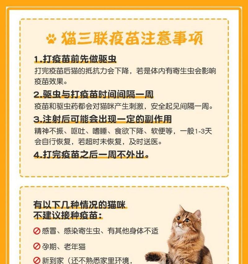 如何饲养俄罗斯蓝猫？（俄罗斯蓝猫的特点与饲养技巧）