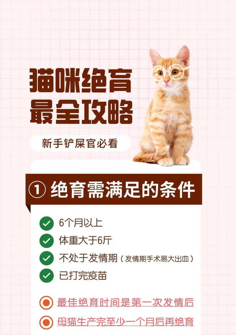 主题：如何防止宠物猫咪外逃及怀孕