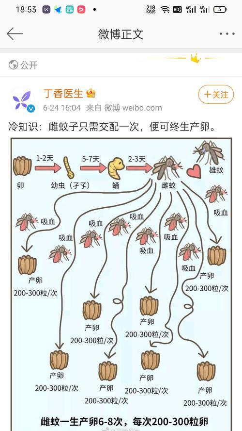 凯安梗的饲养指南（如何正确地照顾你的凯安梗）