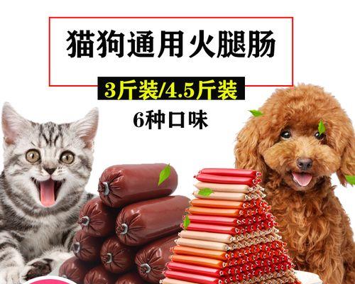 科学喂狗狗零食（宠物健康的保障）