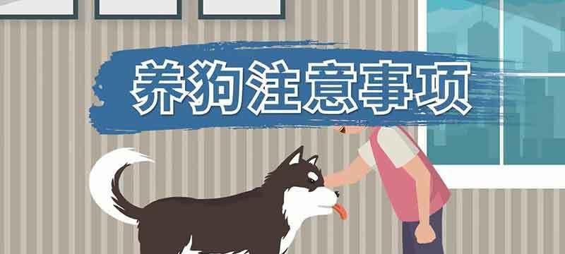 狗狗卫生清洁指南（注意事项、细节、操作技巧）