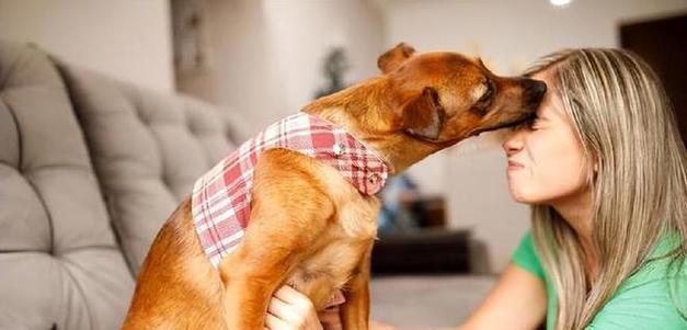 狗狗为什么喜欢舔人？（深入了解狗狗舔人的原因和意义）
