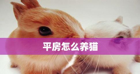 养猫咪无味，从这15个小技巧开始（宠物养护指南，打造温馨无味家庭环境）