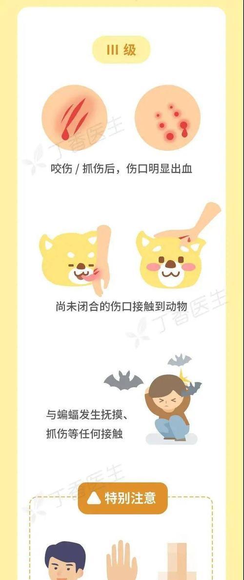 宠物犬必须接种疫苗，保障它的健康（了解宠物犬接种疫苗的重要性和必要性）