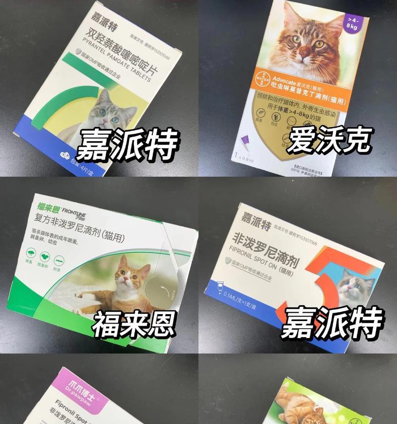 宠物小猫的驱虫时间剖析（宠物小猫什么时候进行驱虫最为合适？）