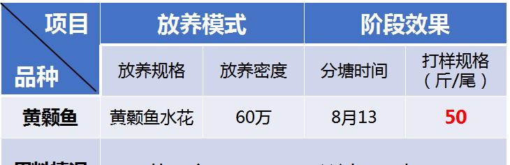 黄曼龙鱼的饲养技巧（掌握这些技巧让你的黄曼龙鱼健康成长）