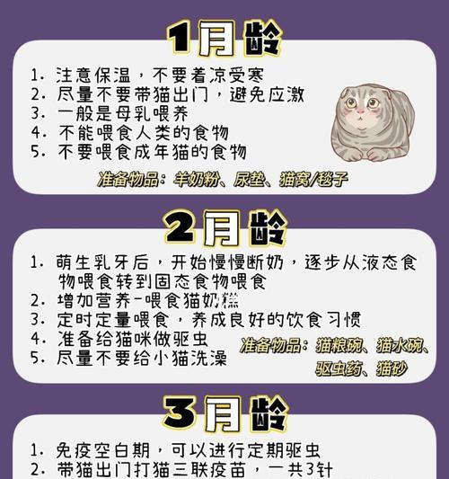 琉球兔的饲养方法（从饲料、环境到健康，全面了解琉球兔的饲养技巧）