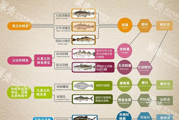 高山姬鼠的饲养全攻略（打造健康宠物生活的必备技能）