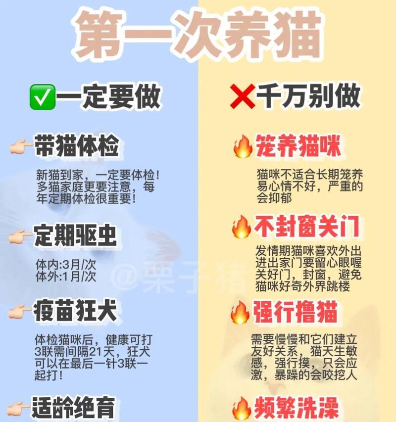 法兰德斯畜牧犬的饲养方法（了解这些，让你的犬只更健康、更快乐）