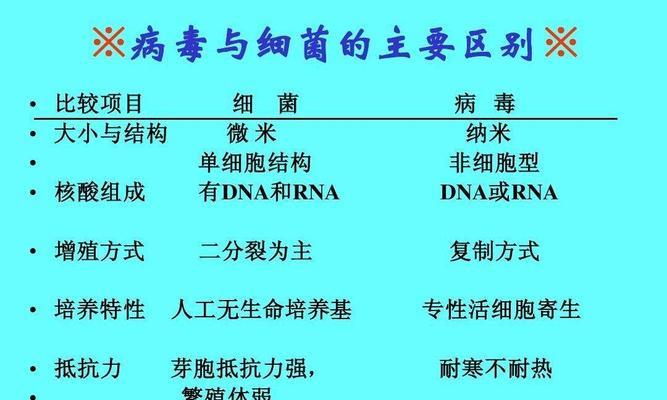 如何正确饲养哈米顿氏龟？（宠物爱好者必知的哈米顿氏龟饲养技巧）