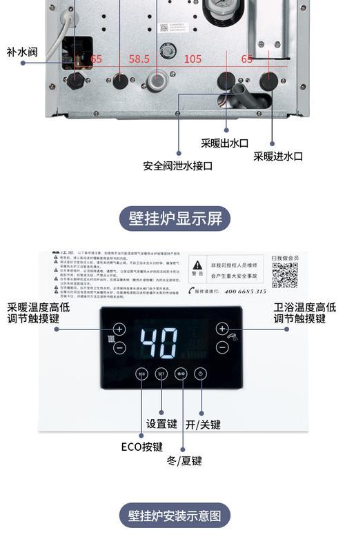 岩松鼠的饲养方法（如何科学养护岩松鼠）