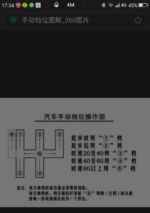 西部箱龟的饲养技巧（打造健康快乐的宠物生活）