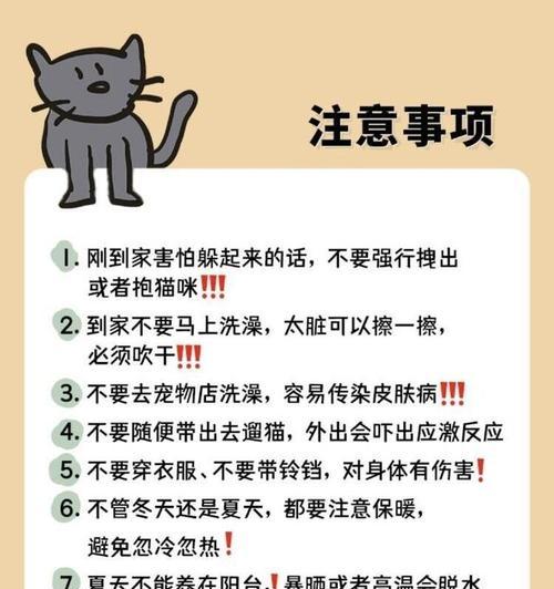 电烫卷猫的饲养方法（让你的电烫卷猫健康成长）