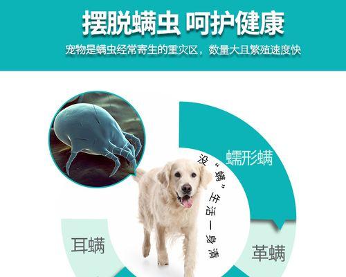 狗狗犬瘟能体外驱虫，让宠物更健康（体外驱虫，关键在于科学和规律）