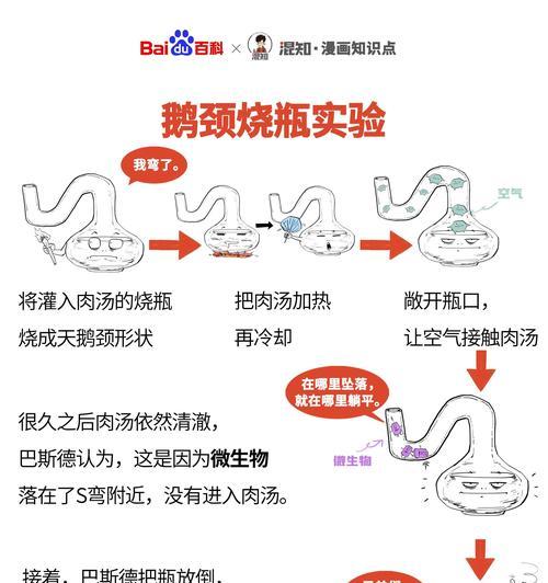 如何饲养一只健康、快乐的威尔士梗（全面了解威尔士梗饲养方法，打造幸福家庭）