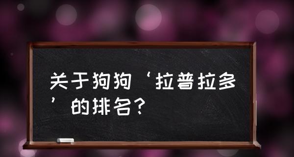 了解爱尔兰雪达犬饲养方法（教你如何养一只健康快乐的爱尔兰雪达犬）