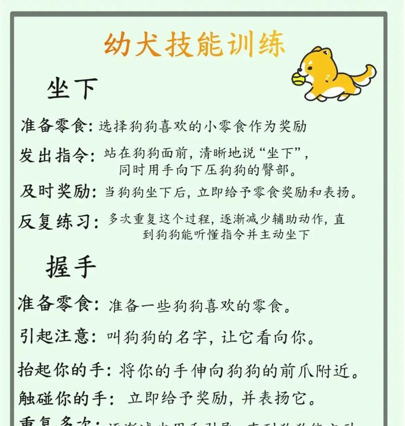 如何科学饲养哈巴狗（打造幸福家庭，给哈巴狗一个健康快乐的生活）